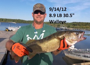 Walleye 31