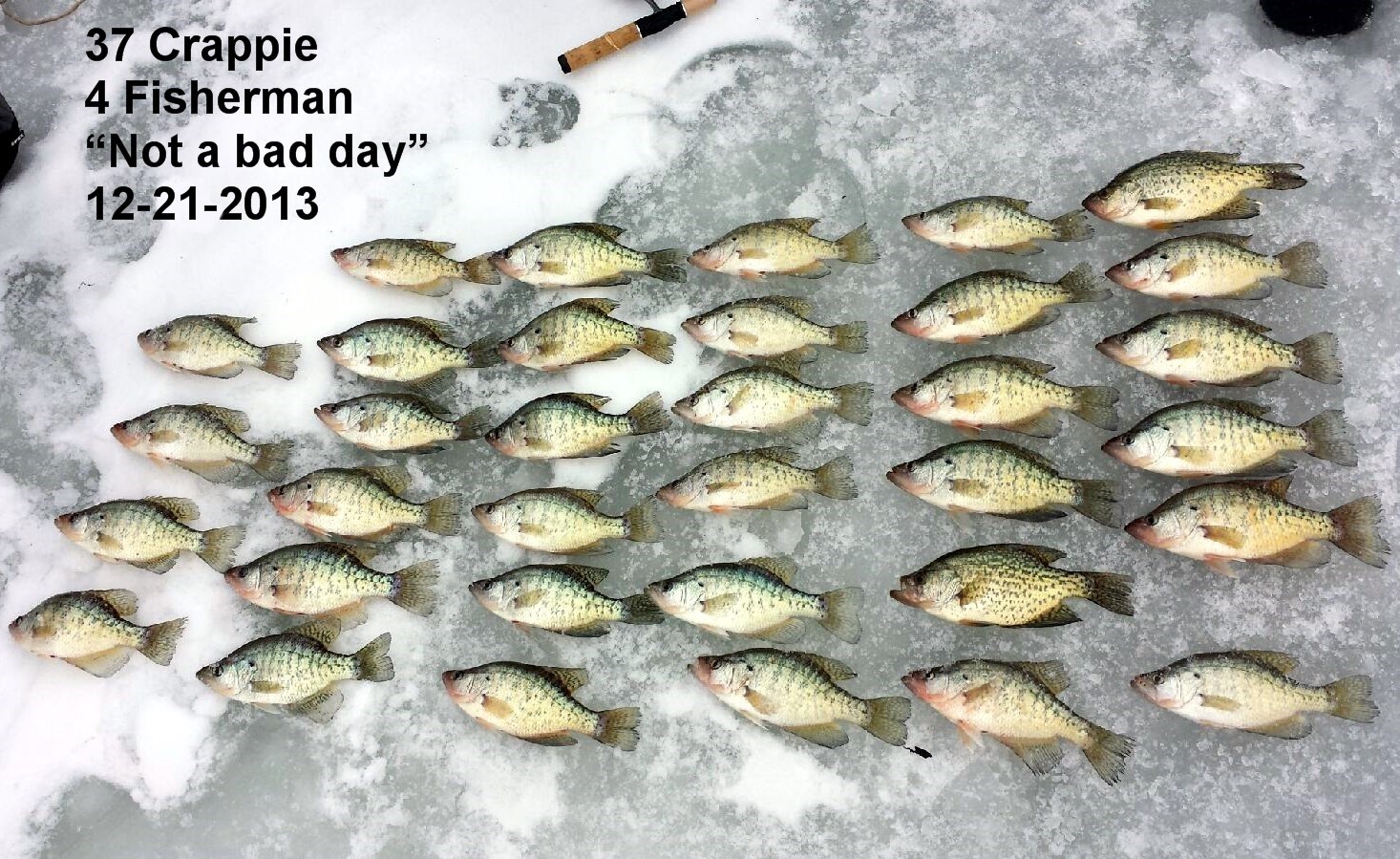 Crappie Bite – Shabbona Lake State Park