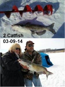 Catfish3