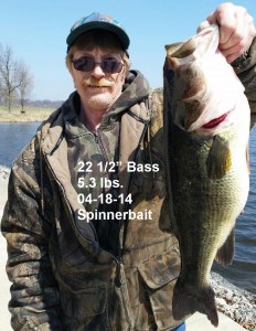 Bass 1